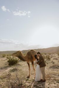 Nevada elopement with camels