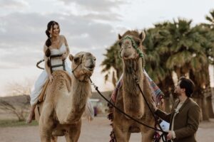 Nevada elopement with camels
