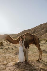 Nevada elopement with camels
